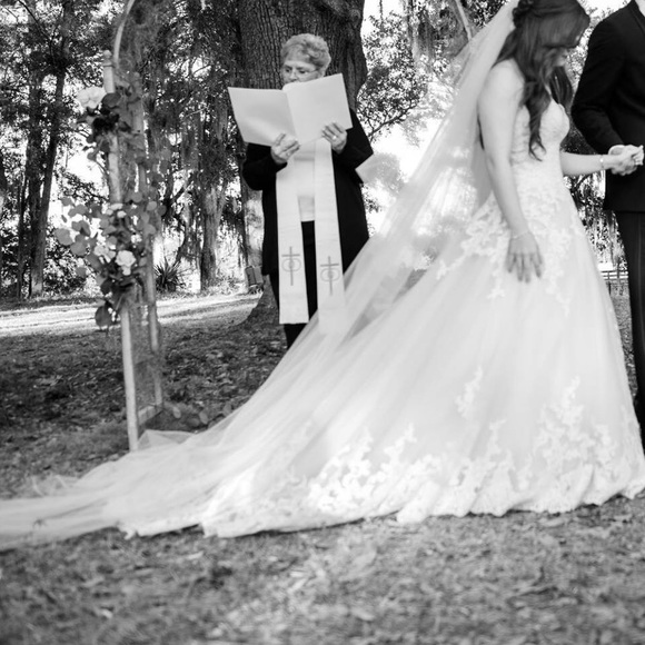 Wedding Dress - Picture 8 of 8